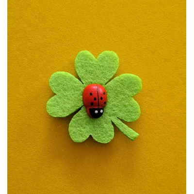 Geluks magneetje in cadeauzakje