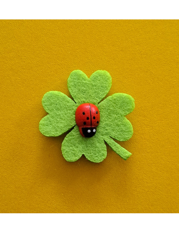 Geluks magneetje in cadeauzakje
