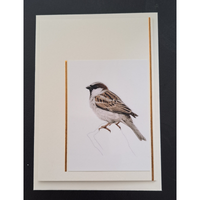 Natuur ansichtkaart - Mus getekend - ivoor
